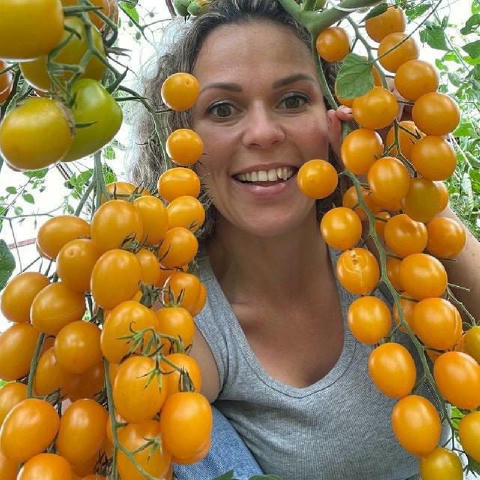 👩🏼‍🌾 Самая популярная дачница теперь в телеграм 😱 Наконец-то появился канал с советами от Леры petrovchanka_lera - https: