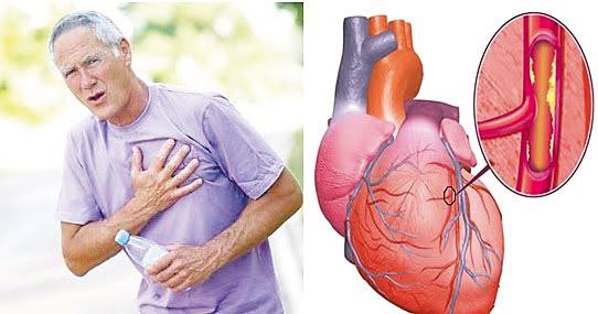 🔸 Засіб для підтримки серця і сили на роботі: Серце — мотор усього організму. А коли воно слабне — падає витривалість, з’явл