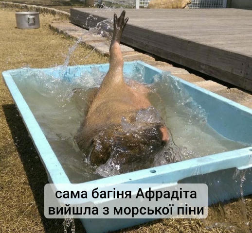 Коли передивляєсся фото з відпустки і знаходиш дійсно шедевр!