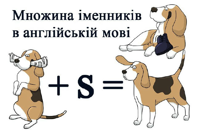 📚 Як утворити множину в англійській? У більшості випадків — просто додаємо -s або -es до слова. Але є нюанси 👇 🔹 Загальне 
