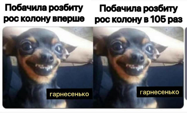 Чогось не вистачає для настрою. Пишіть в коментарях, чого не вистачає вам #tut_budut_kotyky @tut_budut_kotyky