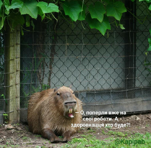 Я ніком не скажу, шо я сварливий дід. Але знаки будуть