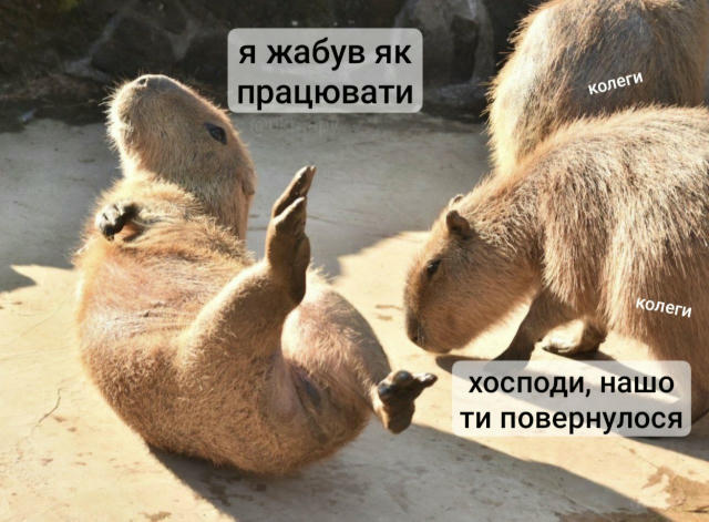 Перший робочий день після відпустки завжди трохи дивний. Чи не трохи