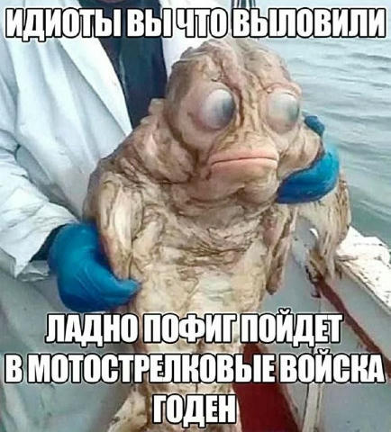 #Логик #Альфа и #Логик #Бета #Конфликт_квадр
