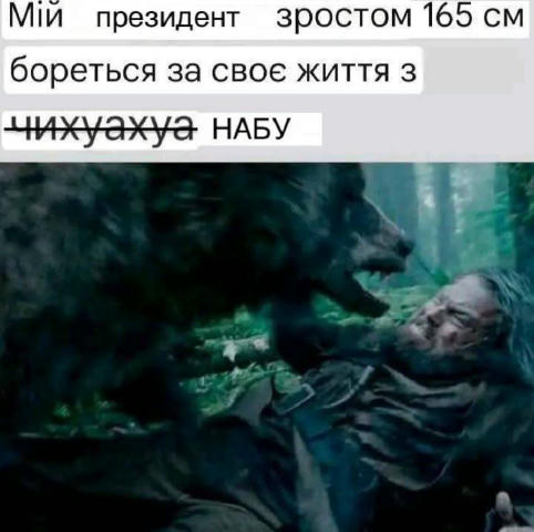 No text