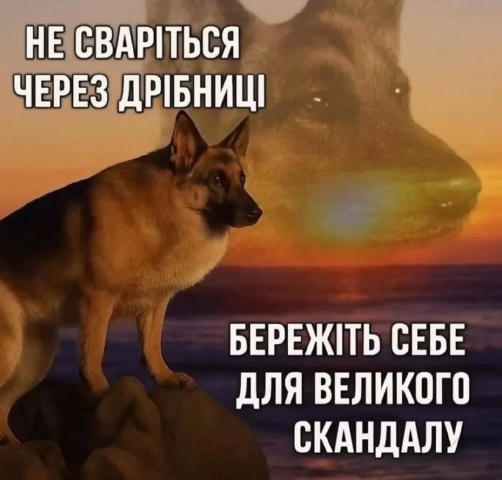 No text