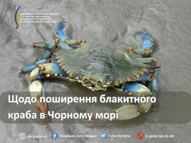 ❗️ Щодо поширення блакитного краба в Чорному морі 🦀 Ситуація з появою біля українського узбережжя Чорного моря інвазивного в