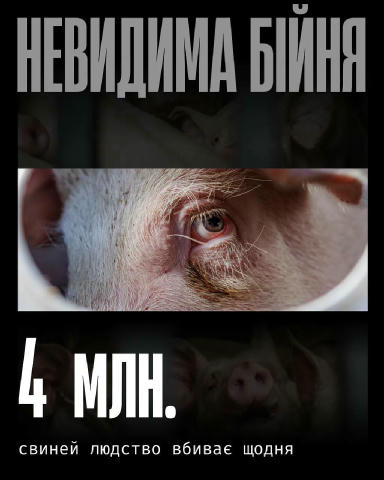 Свині — розумні й соціальні істоти. Вони здатні відчувати страх, біль, і навіть емоційний зв’язок. Але на фермах їхнє життя п