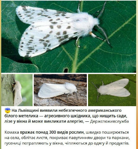 Не такої допомоги ми чекали, Америко!