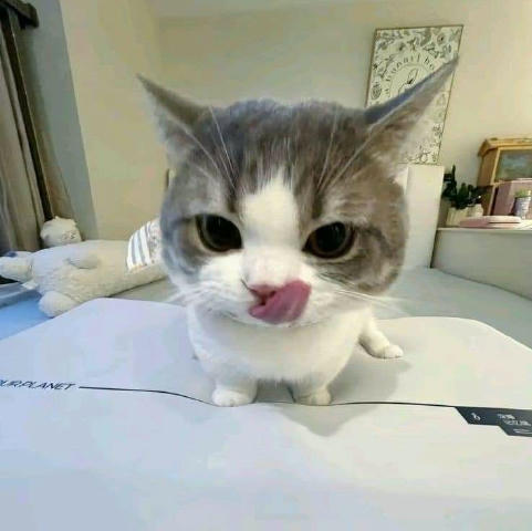 No text