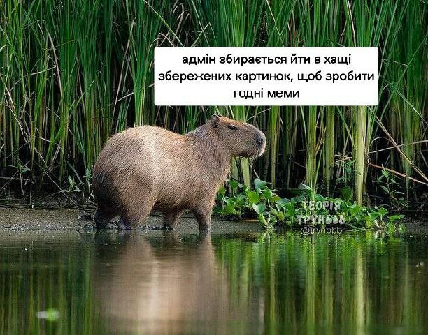 No text