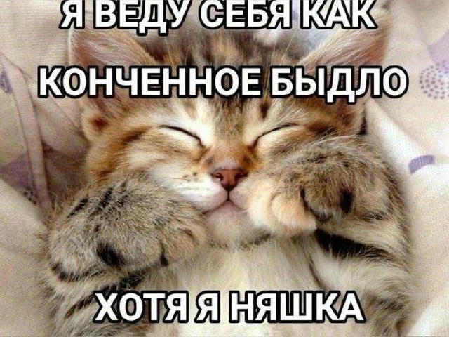 No text