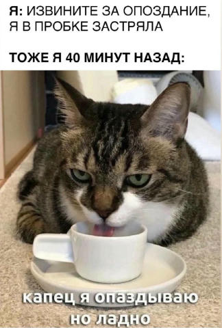 Утренний #drunkfashionmeme