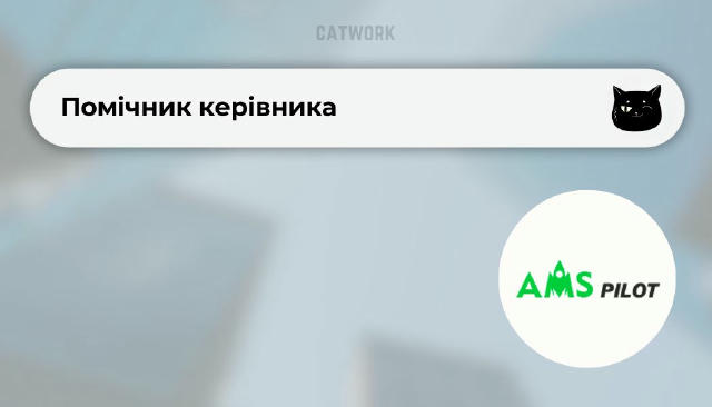 💻 Помічник керівника (Executive Assistant) ✔️20 000–23 000 грн 📍Віддалено AMS Pilot — стратегічна маркетингова агенція для 