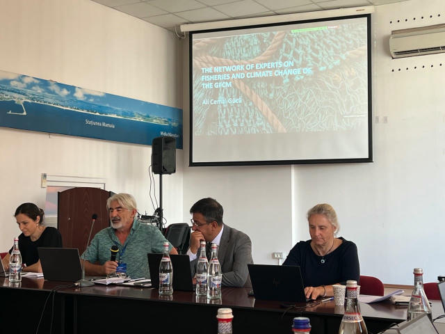 ❗️ Українські науковці взяли участь у засіданні Чорноморської робочої групи Генеральної комісії з питань рибальства у Середзе
