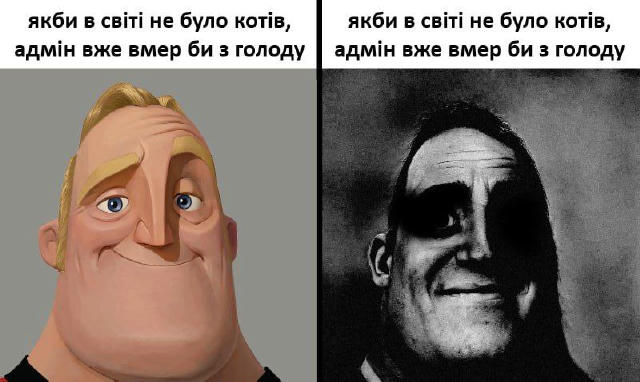 Час пообідати #tut_budut_kotyky @tut_budut_kotyky