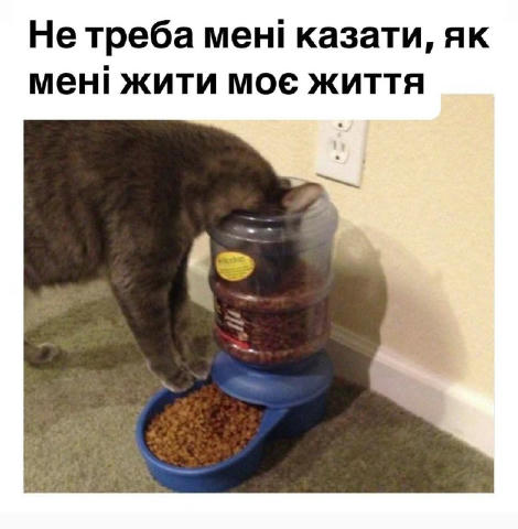 No text