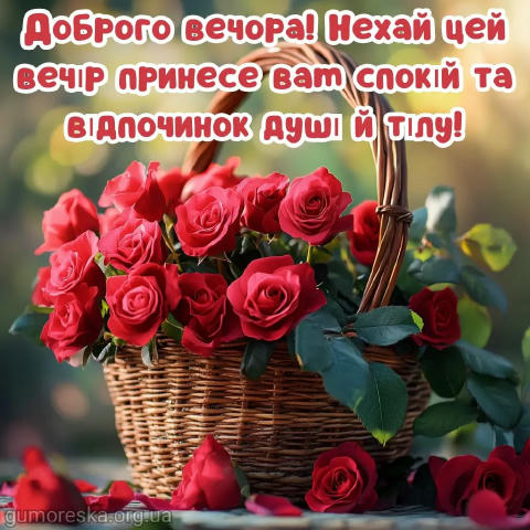🌒 Добрий вечір 🥱 🌟 Підписатись 👉 Гороскоп