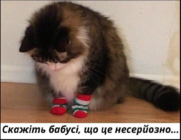 No text
