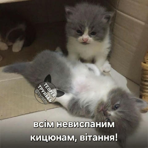 #раночку