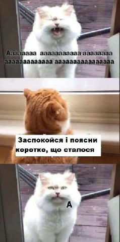No text