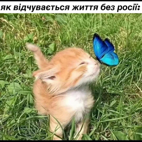 No text