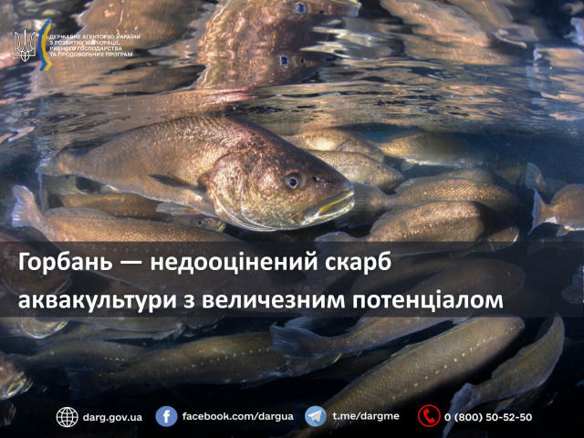 ❗️ Горбань — недооцінений скарб аквакультури з величезним потенціалом 🐡 Горбань (Argyrosomus regius) — риба з великим комерц