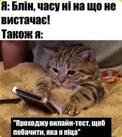 Терміново! Пройдіть онлайн тест, яка ви піца! #tut_budut_kotyky @tut_budut_kotyky