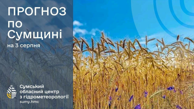 📌 ПРОГНОЗ ПОГОДИ ДЛЯ СУМСЬКОЇ ОБЛАСТІ НА 3 СЕРПНЯ Сьогодні погоду формуватиме поле підвищеного атмосферного тиску. Очікуєтьс