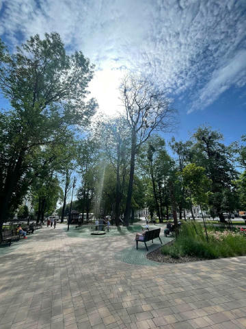 🌳 Роботи з видалення аварійних дерев 📍 У сквері Дня Вишиванки 4 серпня буде проведено видалення сухостійних дерев, які втра