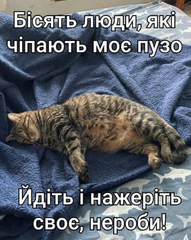 Підпишись 👉 Клуб "ГавМур" і поділись!