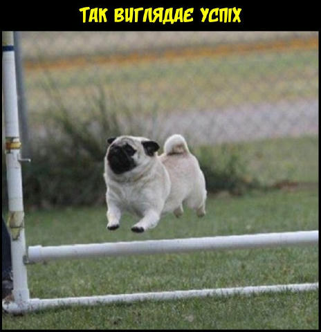 Підпишись 👉 Клуб "ГавМур" і поділись!