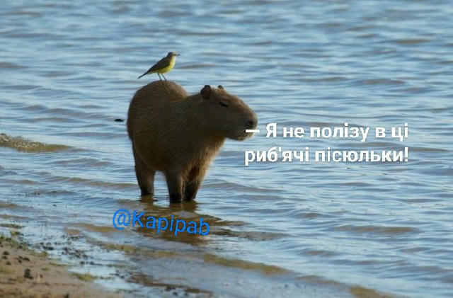 На морі є лише два типи