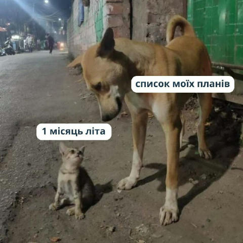 добрий ранок усім хто прокинувся