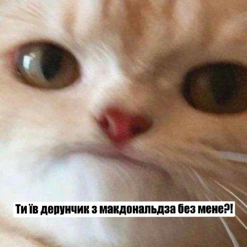 No text