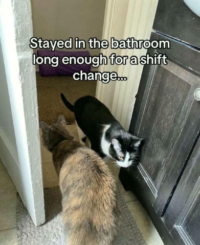 No text