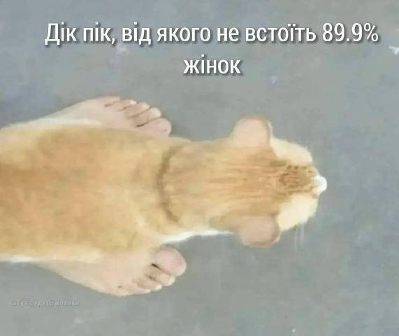 Мудрість дня #tut_budut_kotyky @tut_budut_kotyky