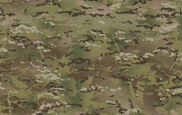 Міністерство оборони затвердило новий маскувальний малюнок для Збройних сил України — ММ-25. Він замінить чинний ММ-14, відом