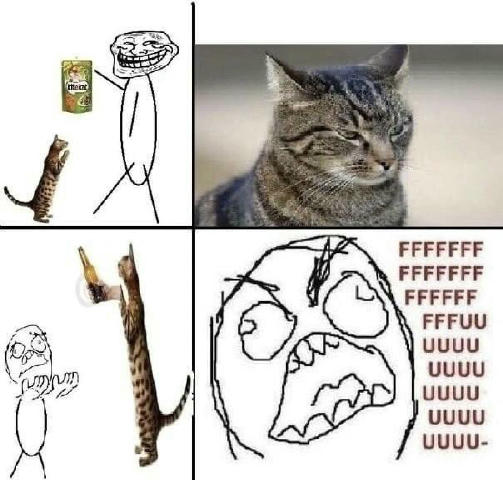 No text