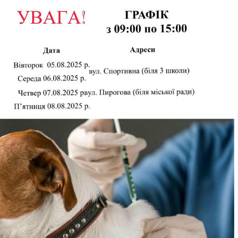 🐾У Хусті безкоштовно вакцинуватимуть домашніх тварин проти сказу. Щеплення для котів і собак проводять, щоб підтримати стабі