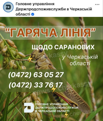 ❗️У зв’язку з активізацією розвитку саранових у регіонах України, відкрито «гарячу лінію», куди можуть звернутися мешканці об