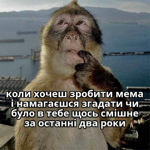 No text