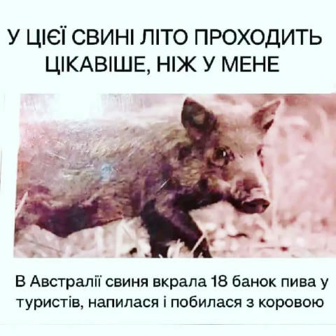 Приєднуйся 👉 ГУМОР UA 🤣