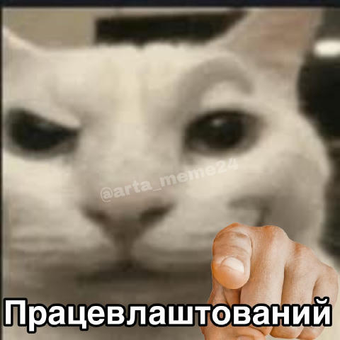 Всім гарного робочого тижня Мемна Арта