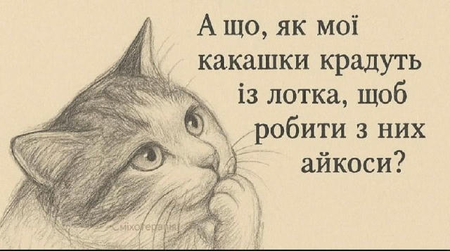 No text