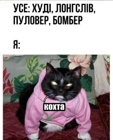 No text