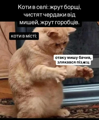 No text