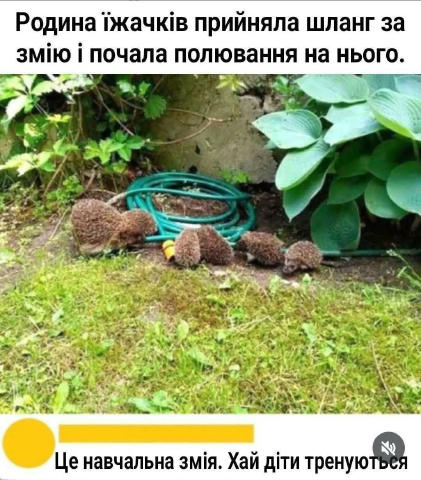 No text