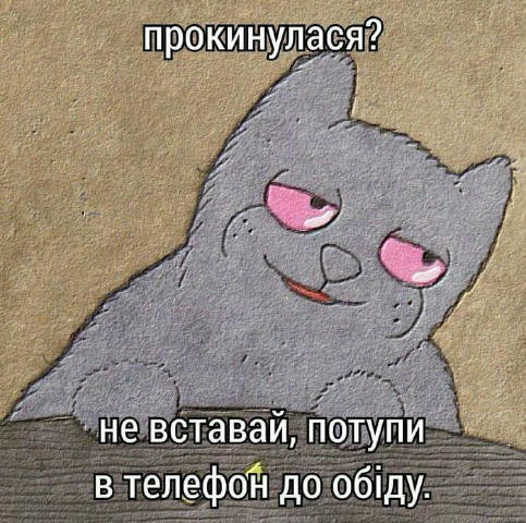 No text