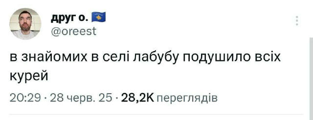 No text